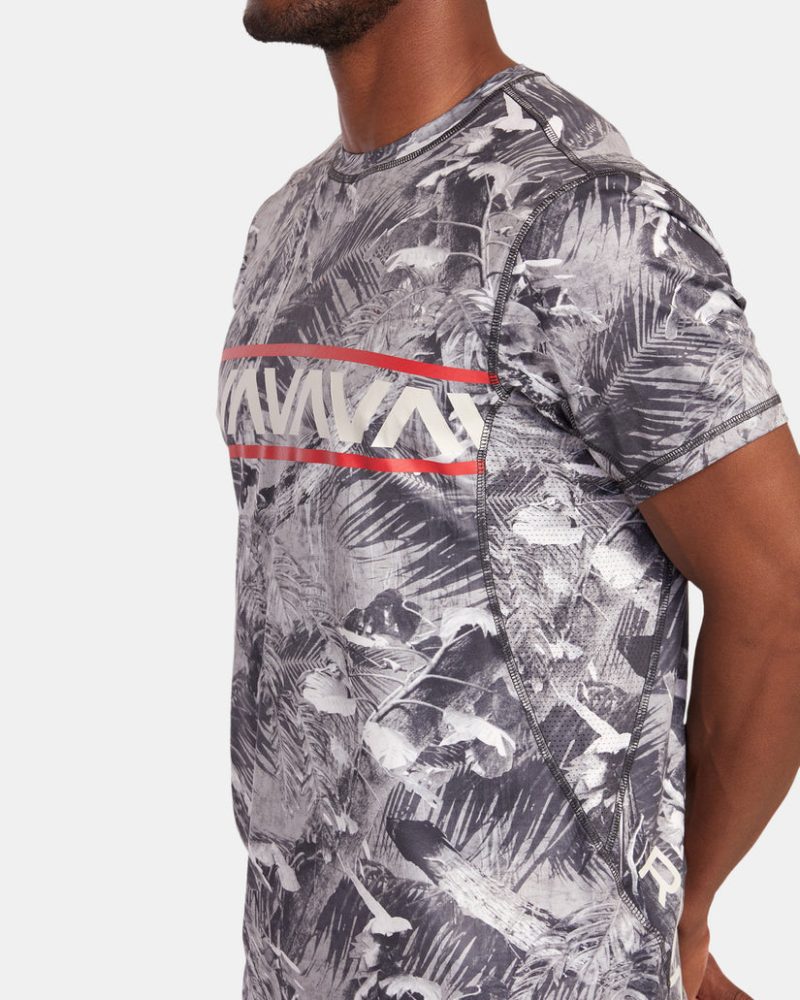 avykt00301 rvca 2Cw wzb8 dtl2