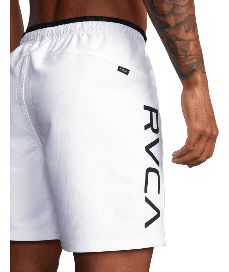 avyws00173 rvca w wht dtl2