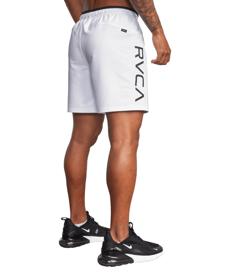 avyws00173 rvca w wht sd2