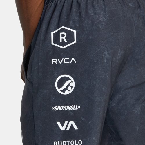 avyws00291 rvca w czjw dtl2