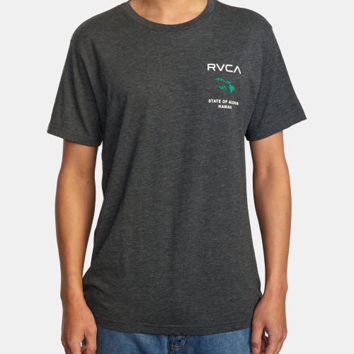 avyzt00323 rvca w bkg frt1