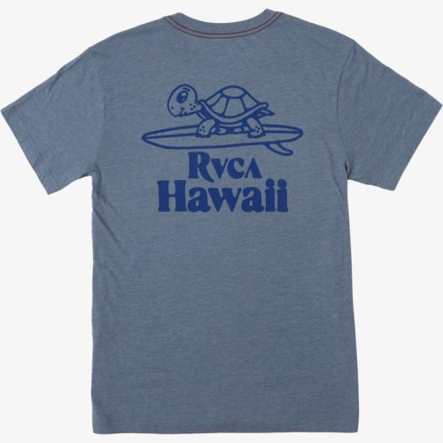 avyzt02048 rvca 2Cf bmk0 bck1